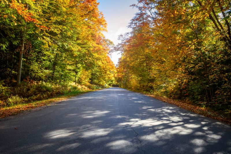 Fall Application