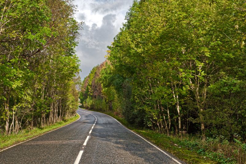 Chip Sealing